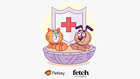 PetKey and Fetch Pet Insurance Partnership