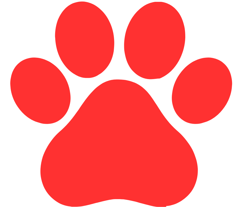 Red pet paw icon